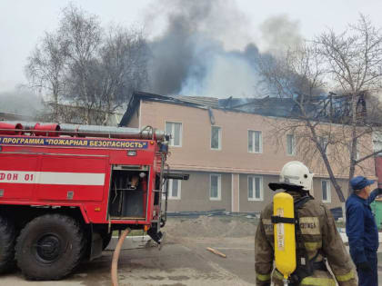 ПОЖАР НА ДЕРЕВООБРАБАТЫВАЮЩЕМ ПРЕДПРИЯТИИ ЛИКВИДИРОВАЛИ