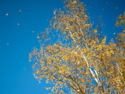 Двойной удар погодных аномалий ожидает Приморье в сентябре