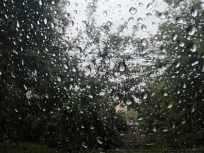 Погода в городе: Какой температурный режим ожидается сегодня?