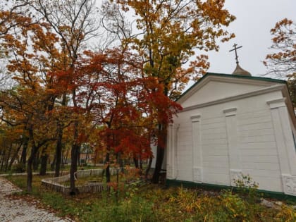 Прохладно и ветрено: озвучен прогноз погоды на сегодня в Приморье