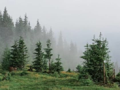 Во Владивостоке без осадков, +23°С