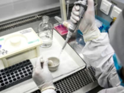 В 44% клещей, сданных на исследование в Приморье, обнаружены инфекции