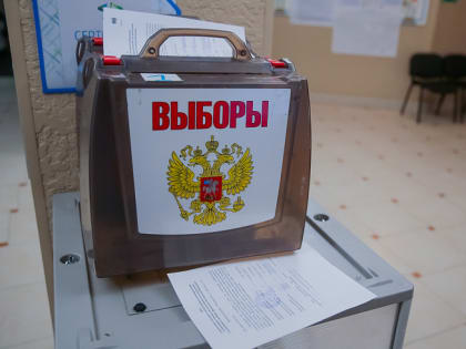 Адресное информирование о выборах Президента РФ стартует в Приморье через две недели