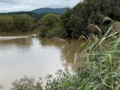 Успейте получить компенсацию за «утонувший» урожай