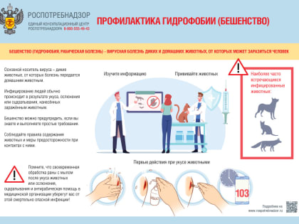 Роспотребнадзор напоминает о профилактике бешенства (ПАМЯТКА)