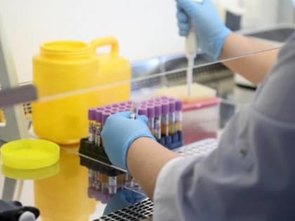 Приморцы могут бесплатно пройти экспресс-тестирование на опасный вирус