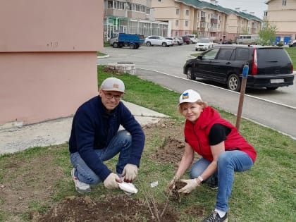 Благодарность депутату от жителей