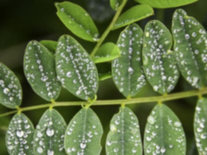 Сегодня во Владивостоке дождь и туман