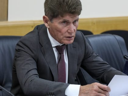 Торговлю с Китаем расширят в Приморье