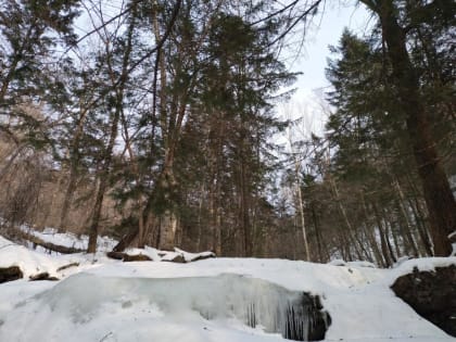 Морозы не отступают: озвучен прогноз погоды на сегодня в Приморье