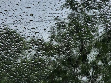 Дожди наблюдаются в Приморье