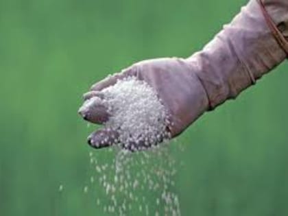 Россия лидирует по поставкам удобрений в Индию