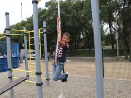 Еще одна хоккейная коробка и три воркаут-зоны построены в Уссурийском округе