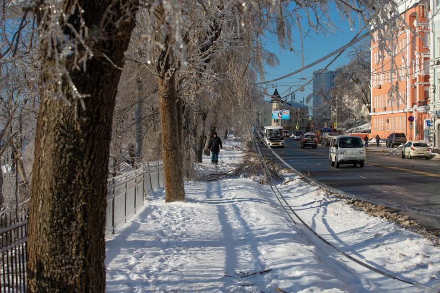 Погода в приморском