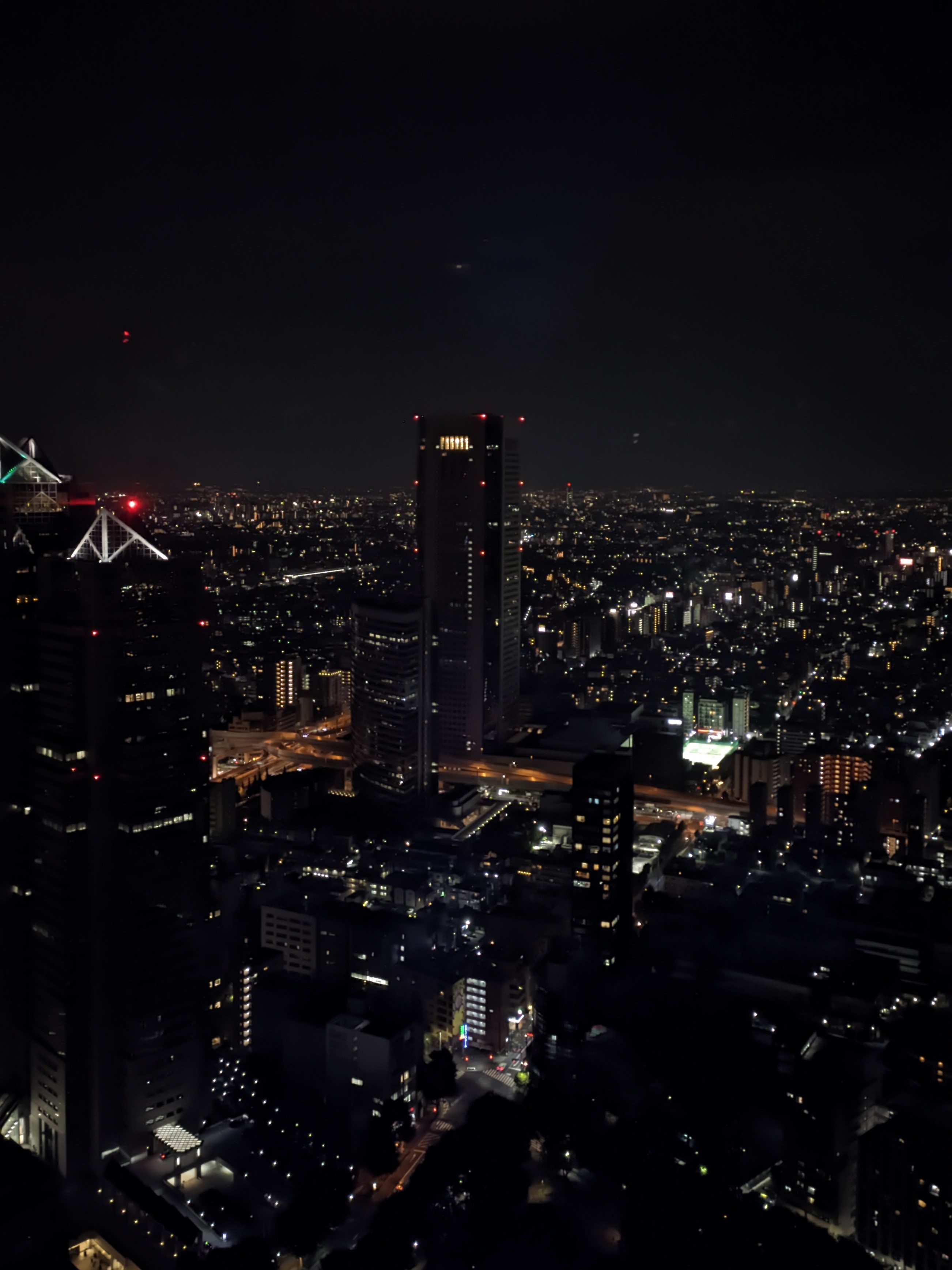 Shinjuku Lights