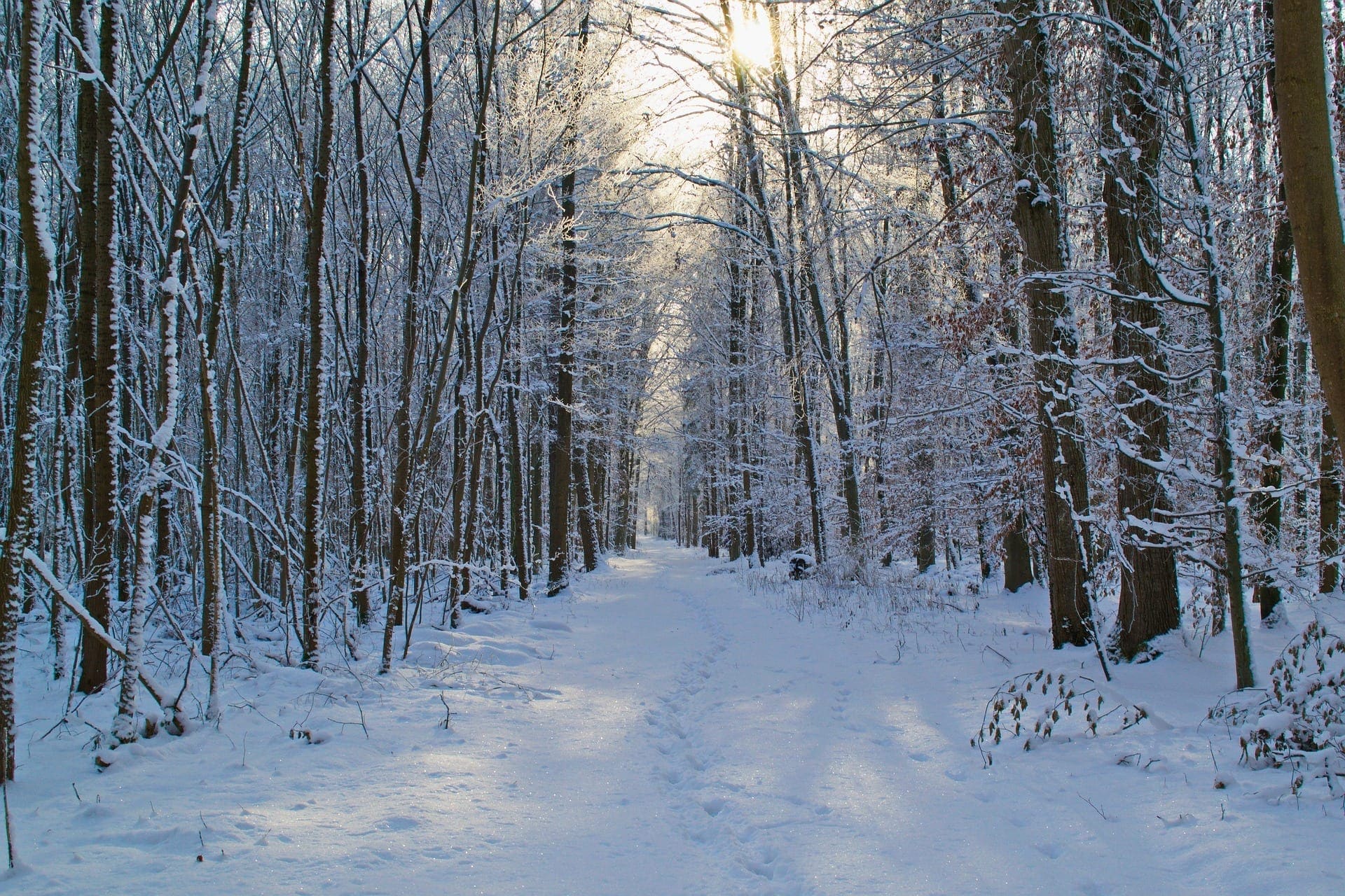 Four Steps to Getting Started with Snowmobiling in Alberta