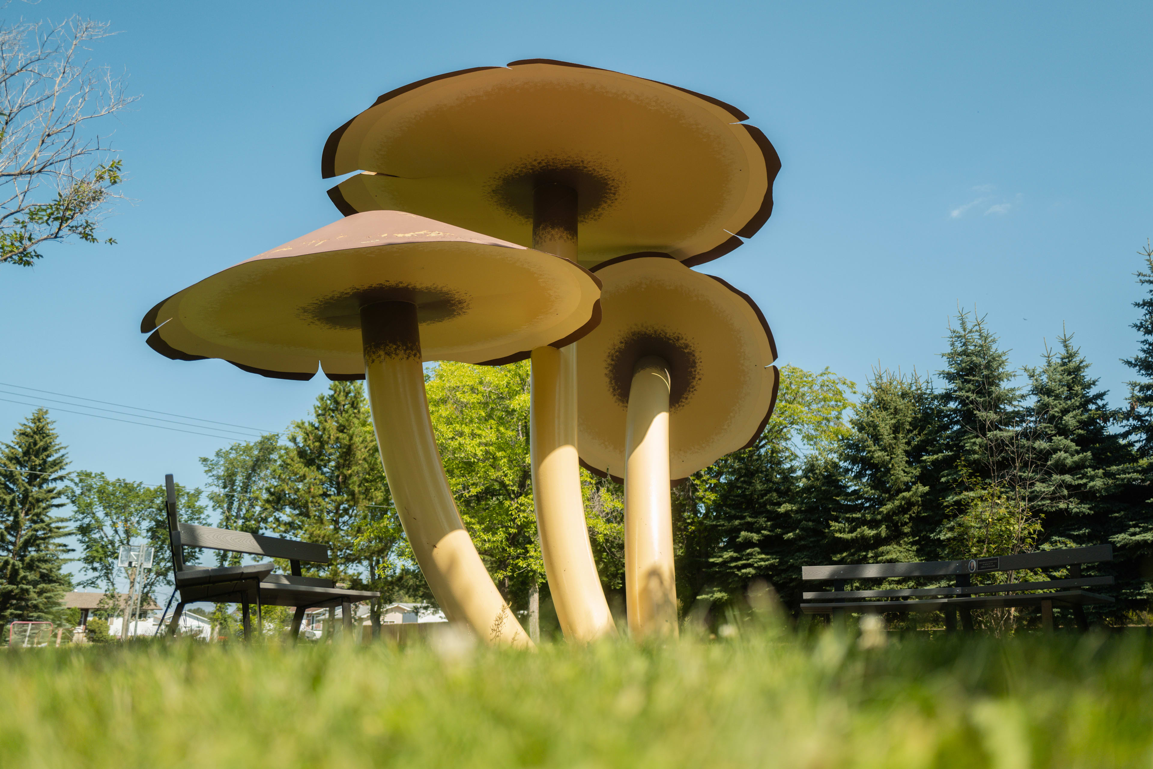 7 Outrageous Alberta Landmarks