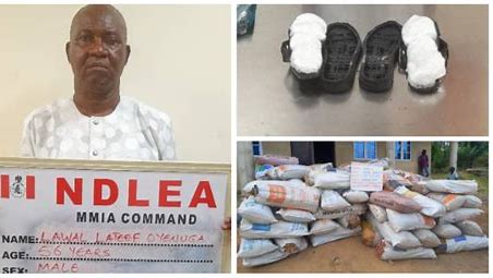 NDLEA