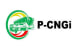P-CNGI