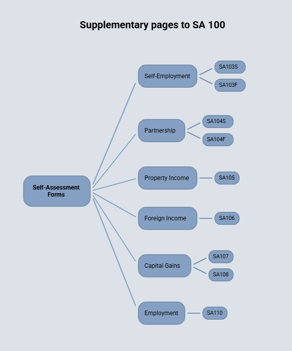 Supplementary pages to SA 100