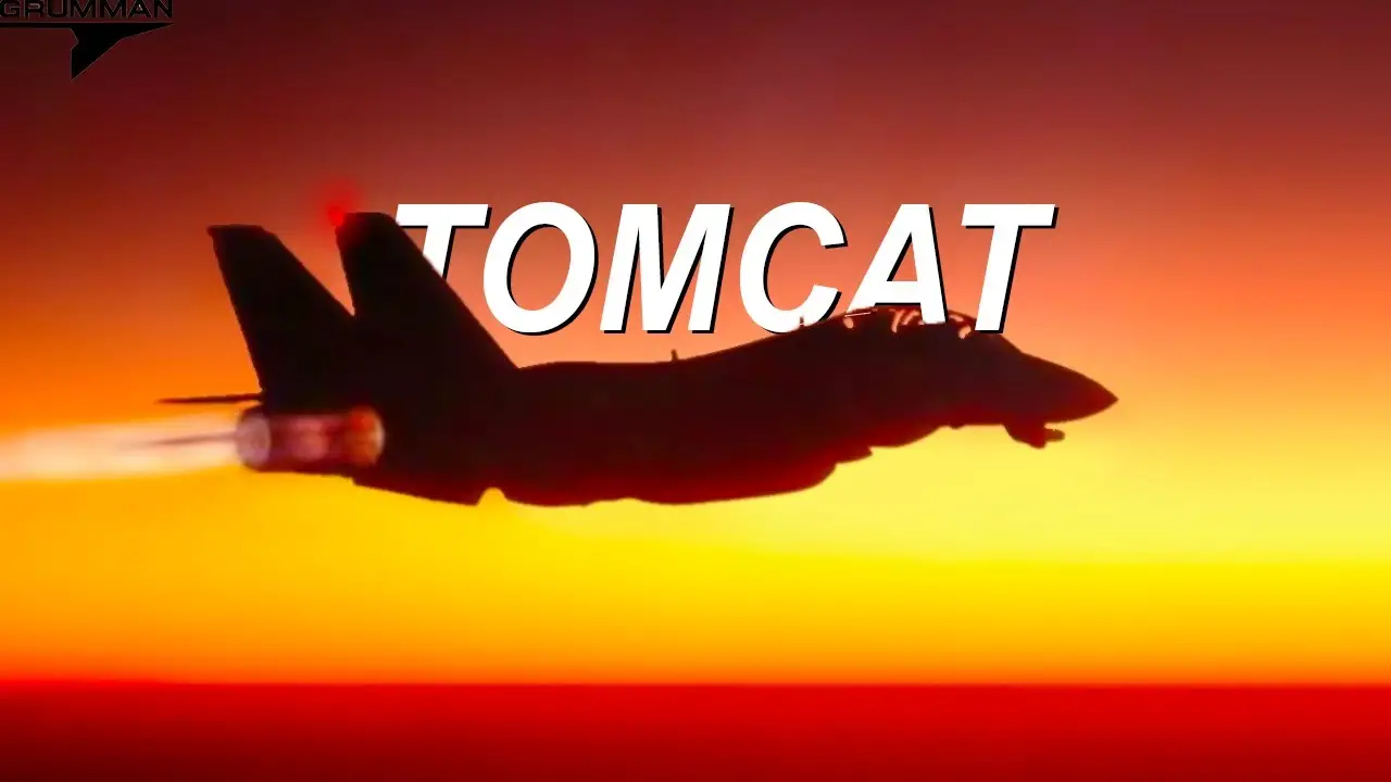 F14 Tomcat An In-Depth Overview