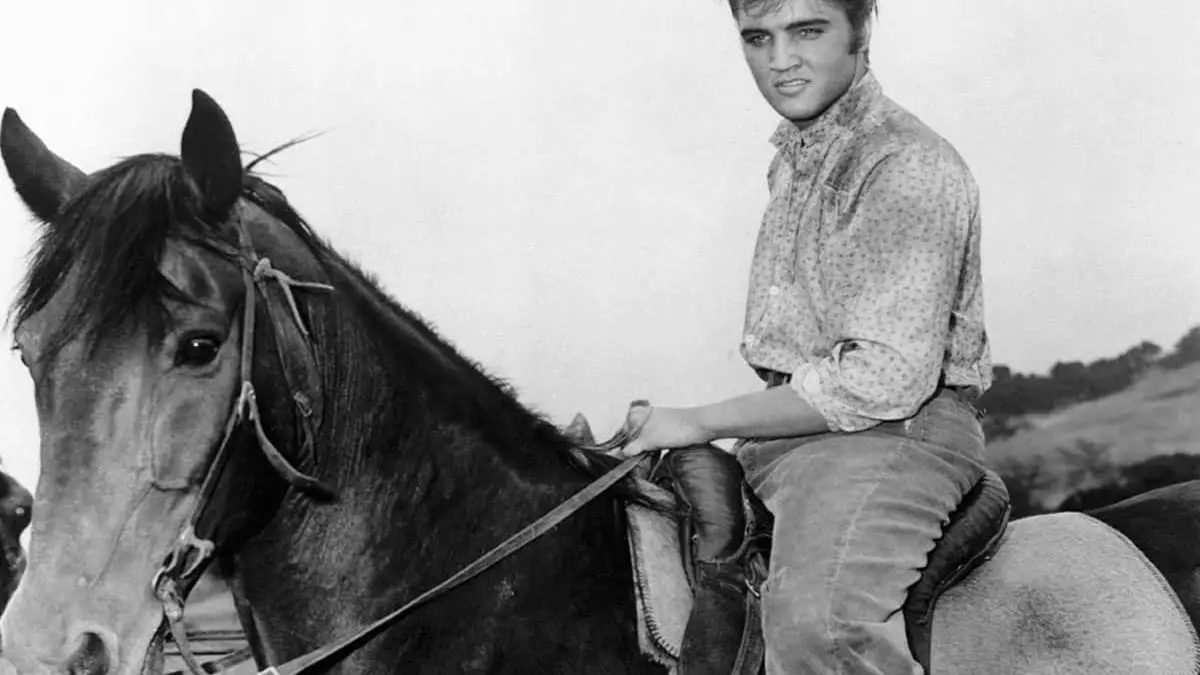 The Quirky Side of Elvis Presley His Beloved Animals and Uncommon Pets