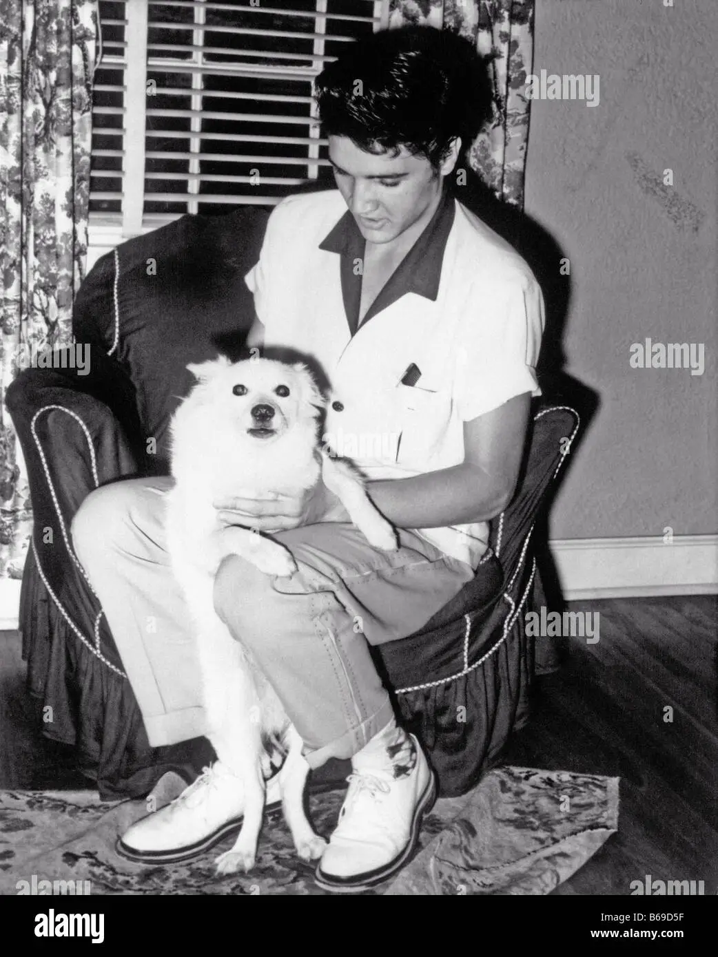 The Quirky Side of Elvis Presley His Beloved Animals and Uncommon Pets