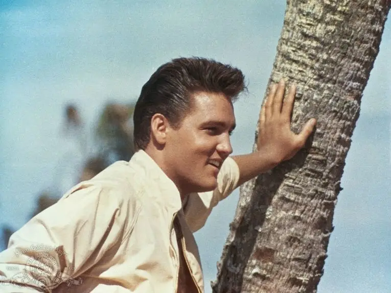 Elvis Presley's Unique Stage Presence and Humorous Side