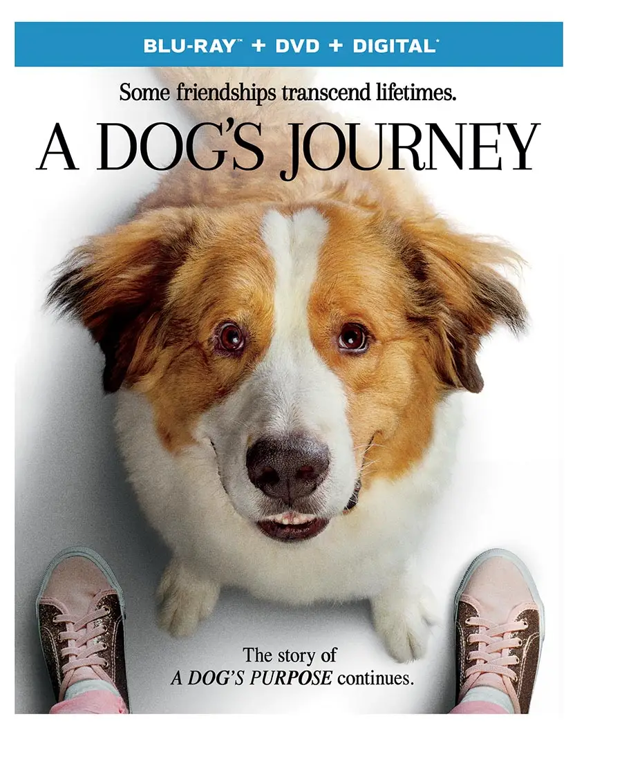 A Dog's Purpose Exploring the Heartwarming Story of Loyalty and Reincarnation