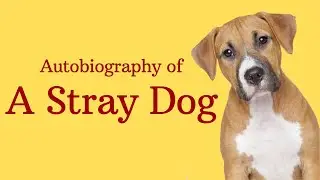 A Dog's Life: The Autobiography of a Stray - A Heartwarming Tale of Survival and Friendship