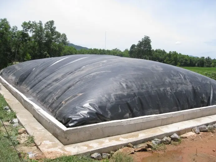 Bể Biogas Giải Pháp Xanh - Tương Lai Năng Lượng Bền Vững