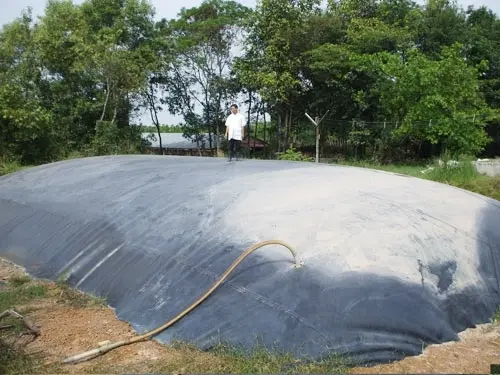 Bể Biogas Giải Pháp Xanh - Tương Lai Năng Lượng Bền Vững