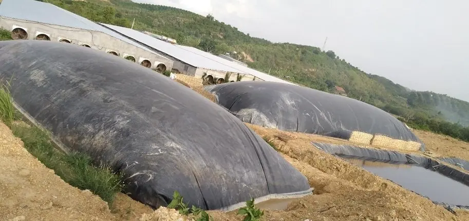 Bể Biogas Giải Pháp Xanh - Tương Lai Năng Lượng Bền Vững