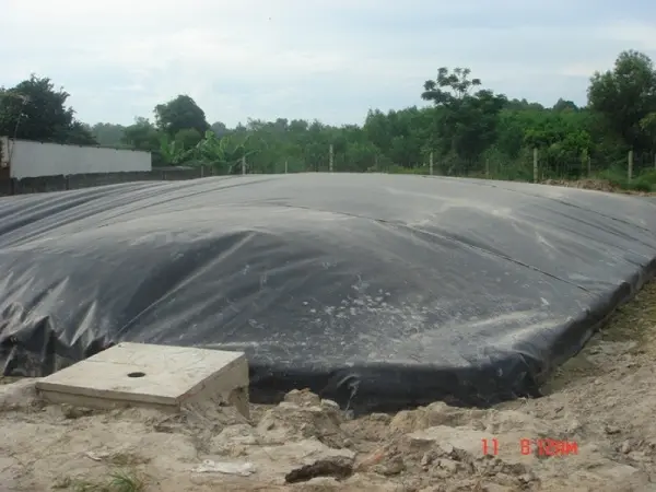 Bể Biogas Giải Pháp Xanh - Tương Lai Năng Lượng Bền Vững