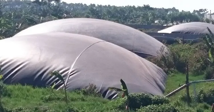 Làm hố biogas - Giải pháp năng lượng xanh cho tương lai bền vững