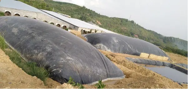 Quy trình làm hầm biogas Bí quyết năng lượng xanh từ nông thôn