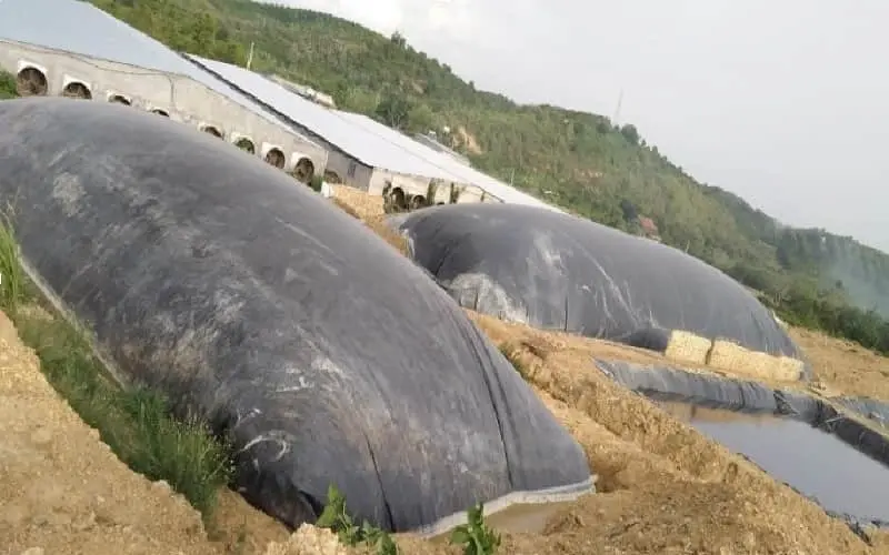 Giá Làm Hầm Biogas - Giải Pháp Xanh Cho Mọi Nhà