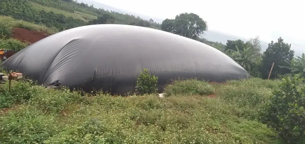 Hầm Biogas Bạt HDPE - Giải Pháp Xanh Cho Nông Nghiệp