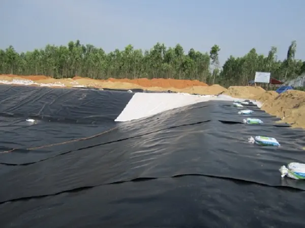 Hầm Biogas Bạt HDPE - Giải Pháp Xanh Cho Nông Nghiệp