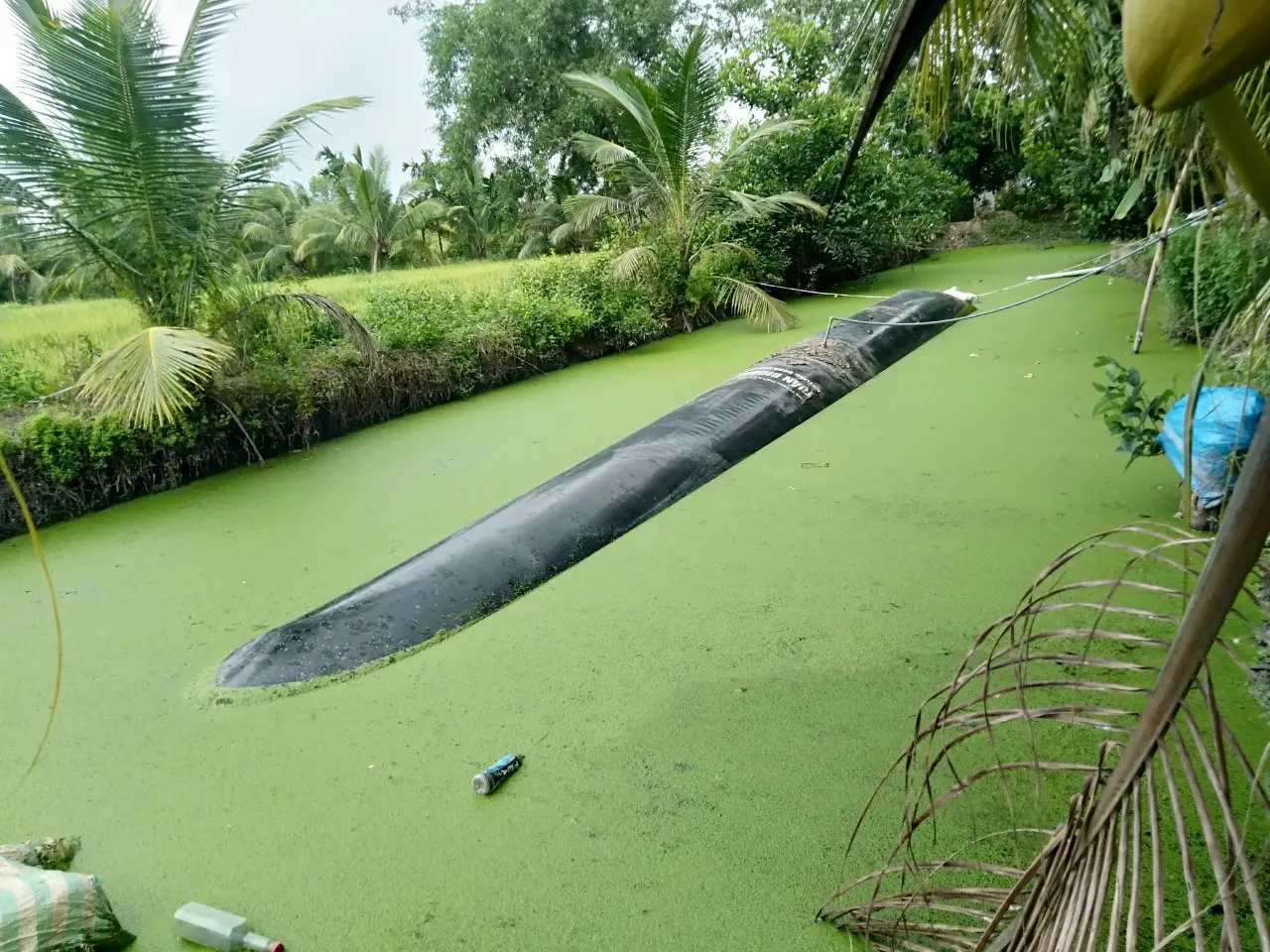 Túi Biogas HDPE - Bước Tiến Mới Cho Nông Nghiệp Xanh