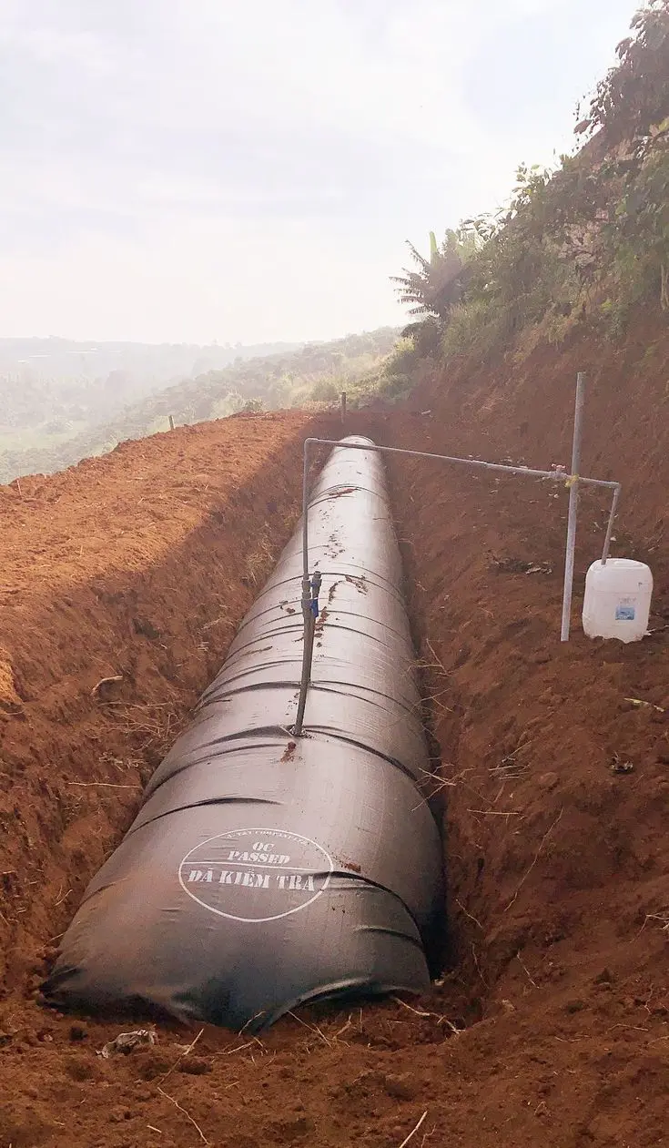 Túi Biogas - Bước Tiến Xanh Cho Ngành Chăn Nuôi