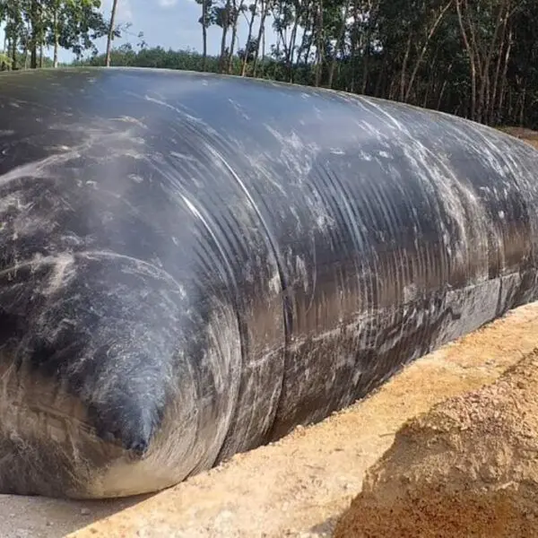 Túi Biogas - Bước Tiến Xanh Cho Ngành Chăn Nuôi