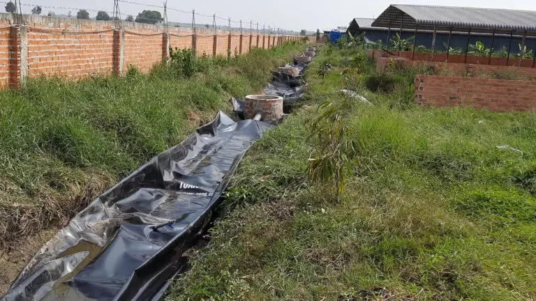Túi Biogas - Bước Tiến Xanh Cho Ngành Chăn Nuôi