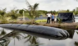 Túi Biogas - Bước Tiến Xanh Cho Ngành Chăn Nuôi