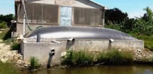 Túi Biogas - Bước Tiến Xanh Cho Ngành Chăn Nuôi