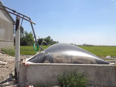 Túi Biogas - Bước Tiến Xanh Cho Ngành Chăn Nuôi