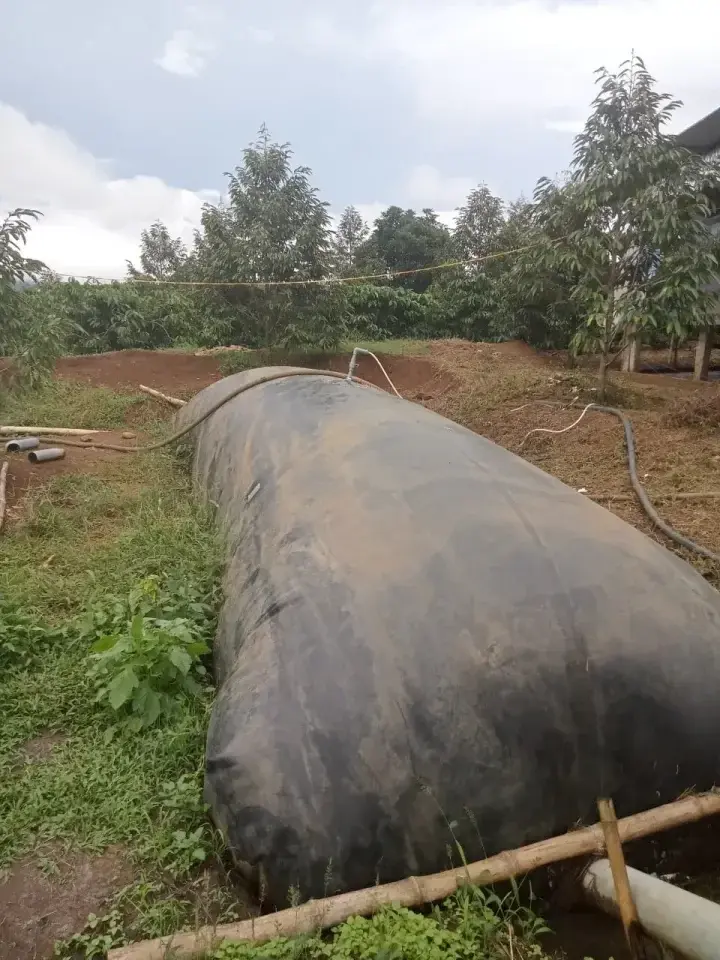 Túi Biogas - Bước Tiến Xanh Cho Ngành Chăn Nuôi