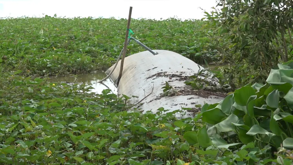 Túi Biogas Chuyên Dụng - Giải Pháp Xanh Cho Năng Lượng