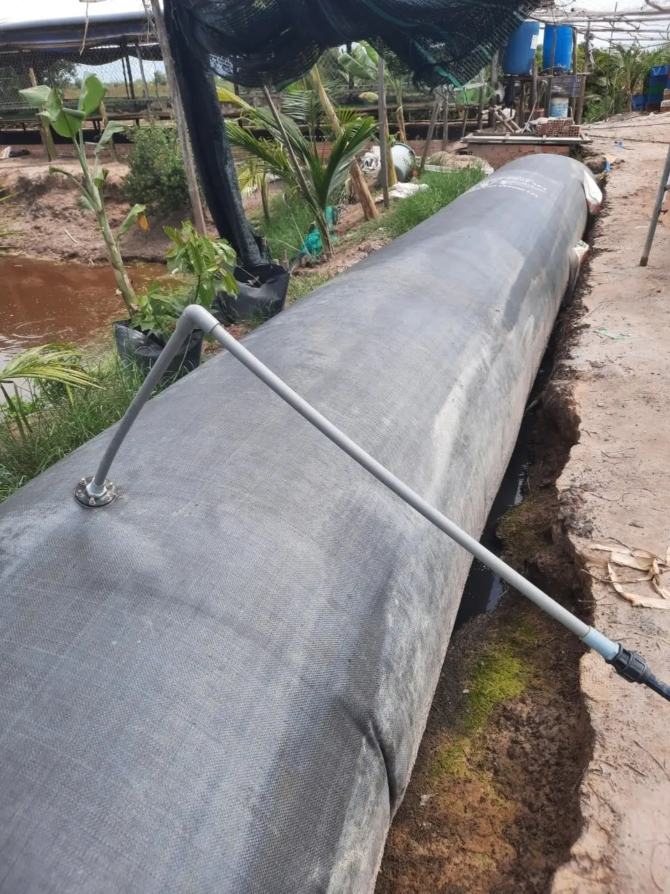 Túi Biogas Chuyên Dụng - Giải Pháp Xanh Cho Năng Lượng