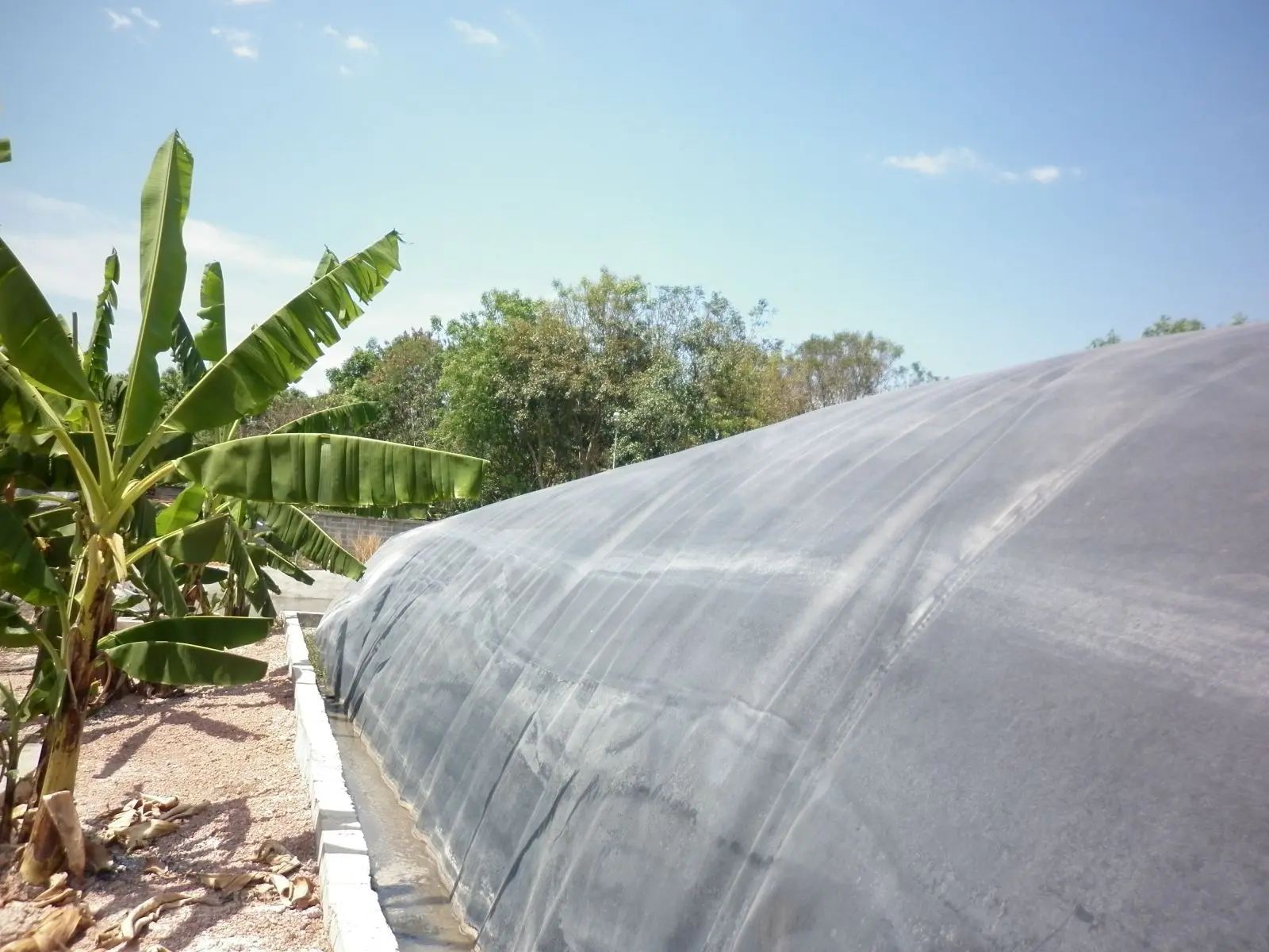 Túi Biogas Chuyên Dụng - Giải Pháp Xanh Cho Năng Lượng